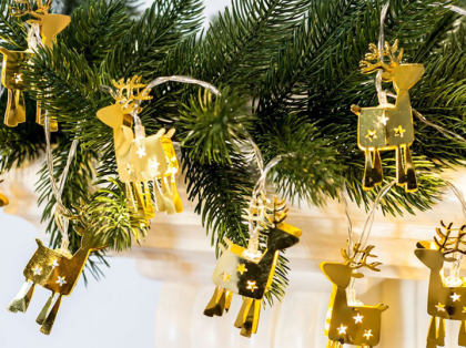 LED Гирлянд ЕЛЕНЧЕТА 10LED 0.42W IP20 за 2xAA 1.5V 1.65m WW